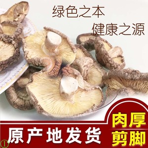 蘑菇十大品牌排行榜>